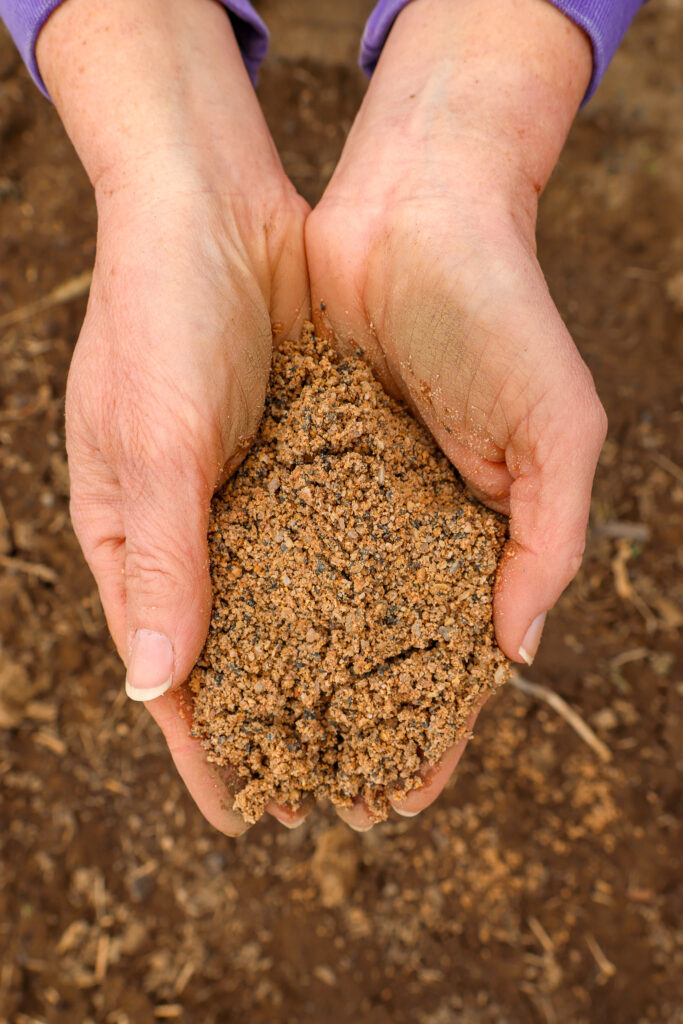 Hands hold sandy soil.
