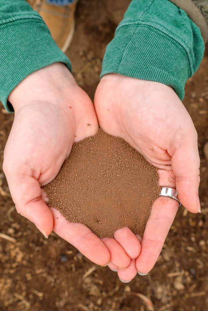 Two hands hold a small pile of silt garden soil.