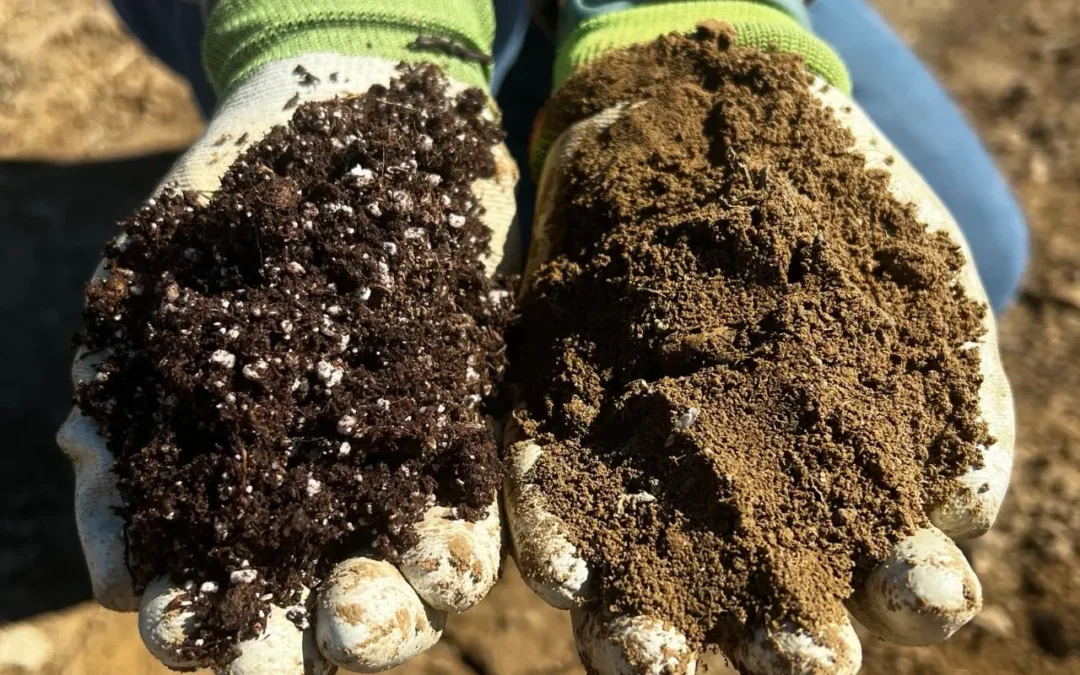 Episode 102: What Does It Mean to Amend Your Soil?