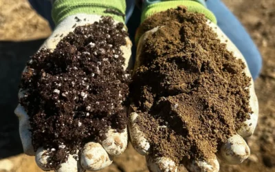 Episode 102: What Does It Mean to Amend Your Soil?