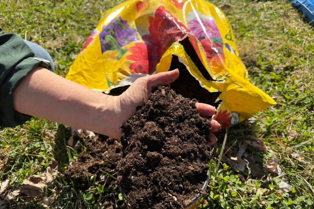 A hand fills a small plastic pot with potting soil, in front of an open yellow bag.
