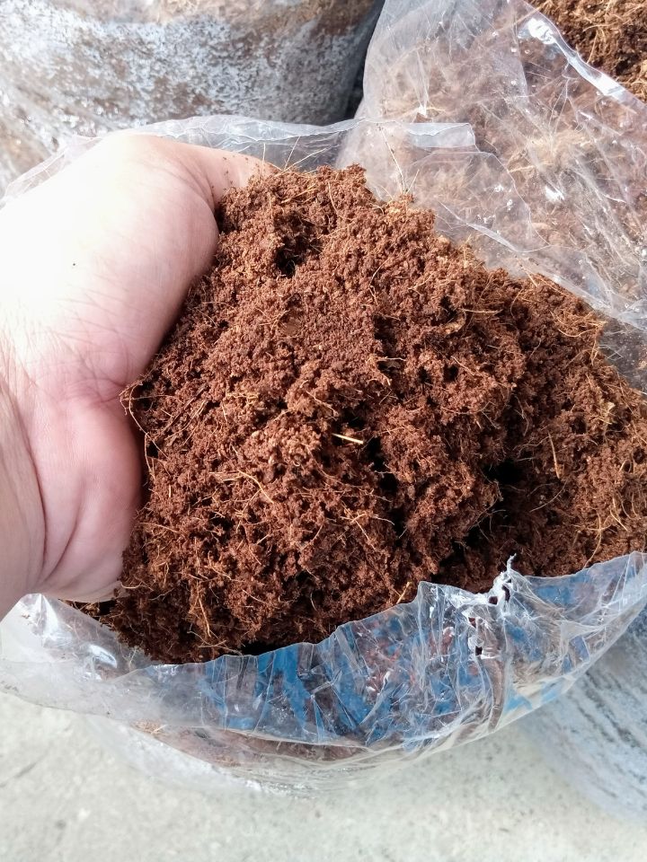 Hand pulls coco coir out of a bag.
