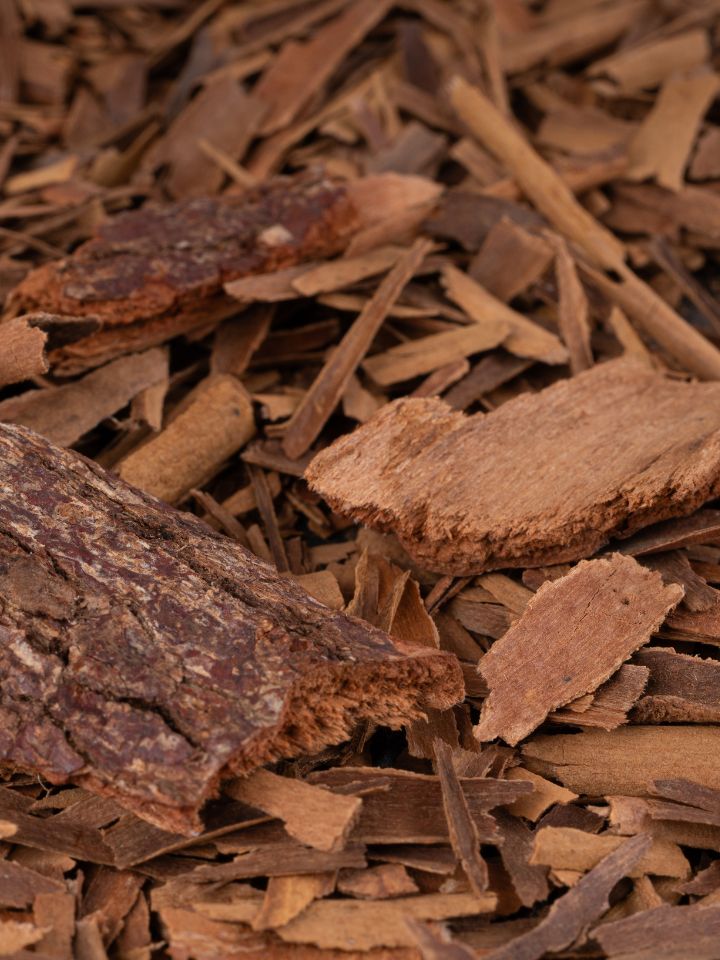 Closeup of pieces of tree bark.
