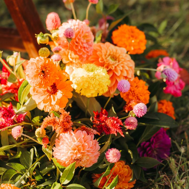 Bright colored fall flowers in an arrangement.