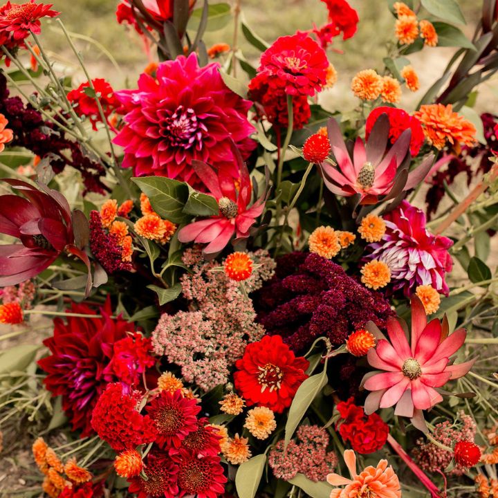 Jewel tone flowers for a wedding arrangement from the flower farm.