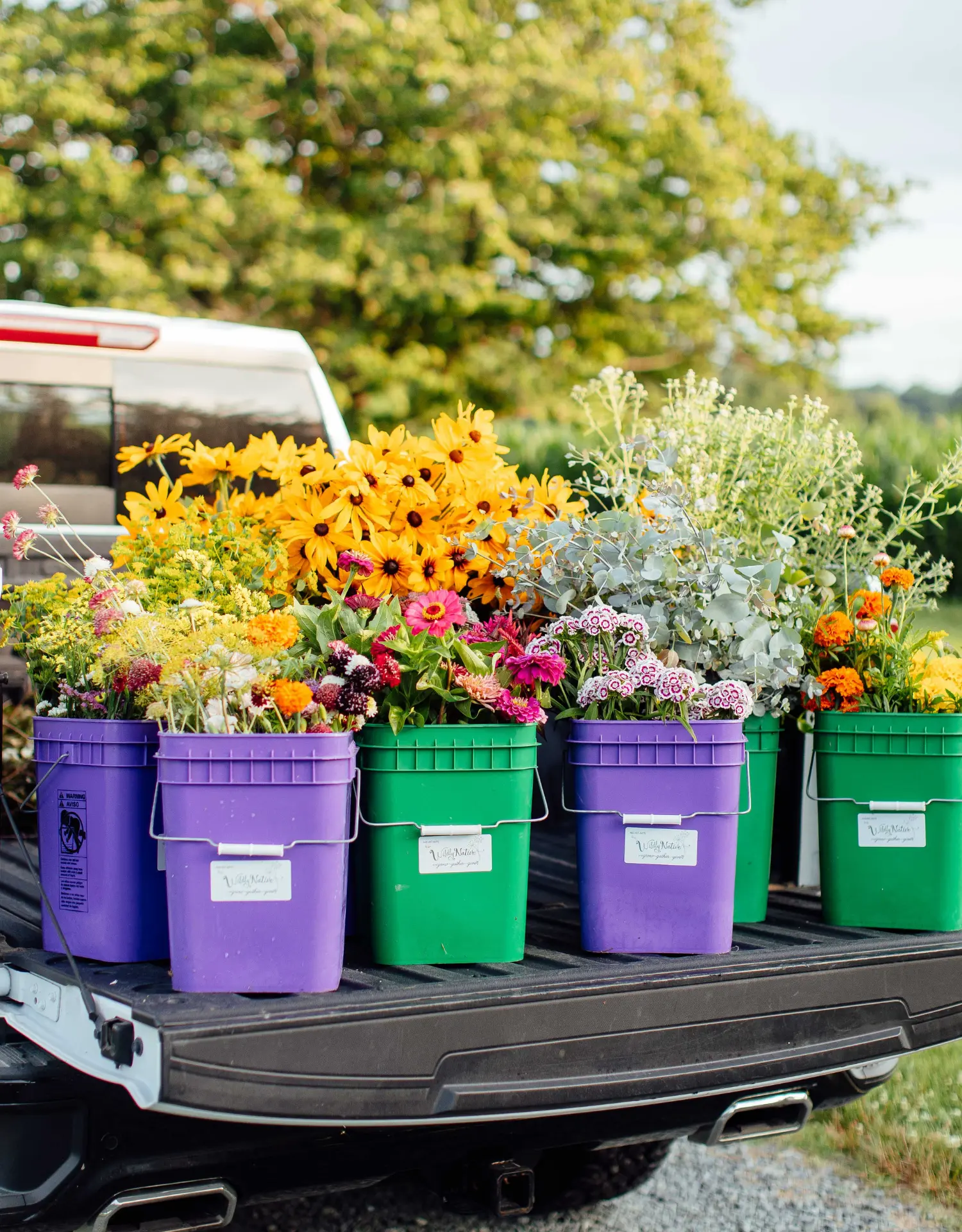 buckets-of-flowers-pickup-truck