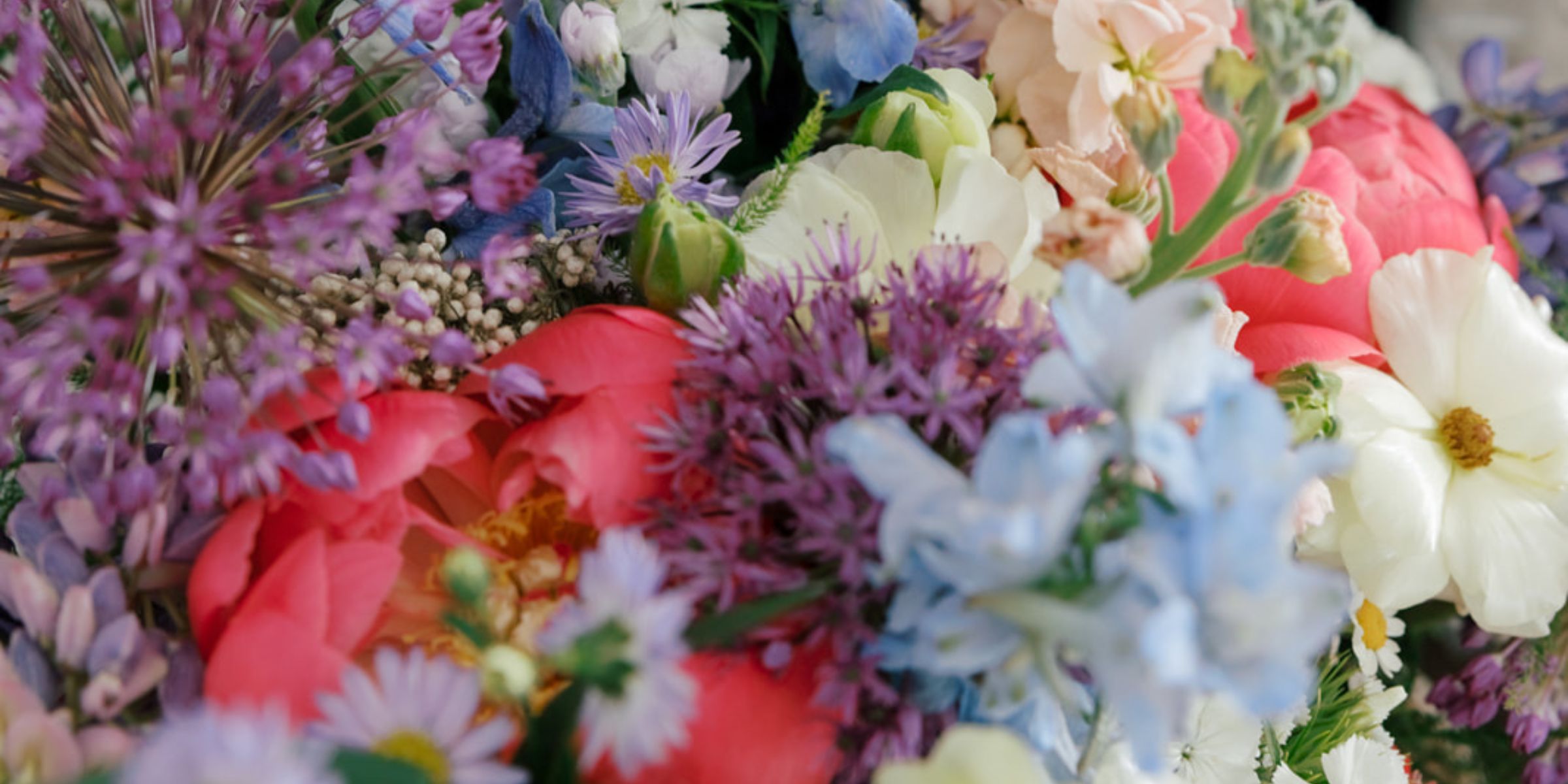 closeup of spring florals