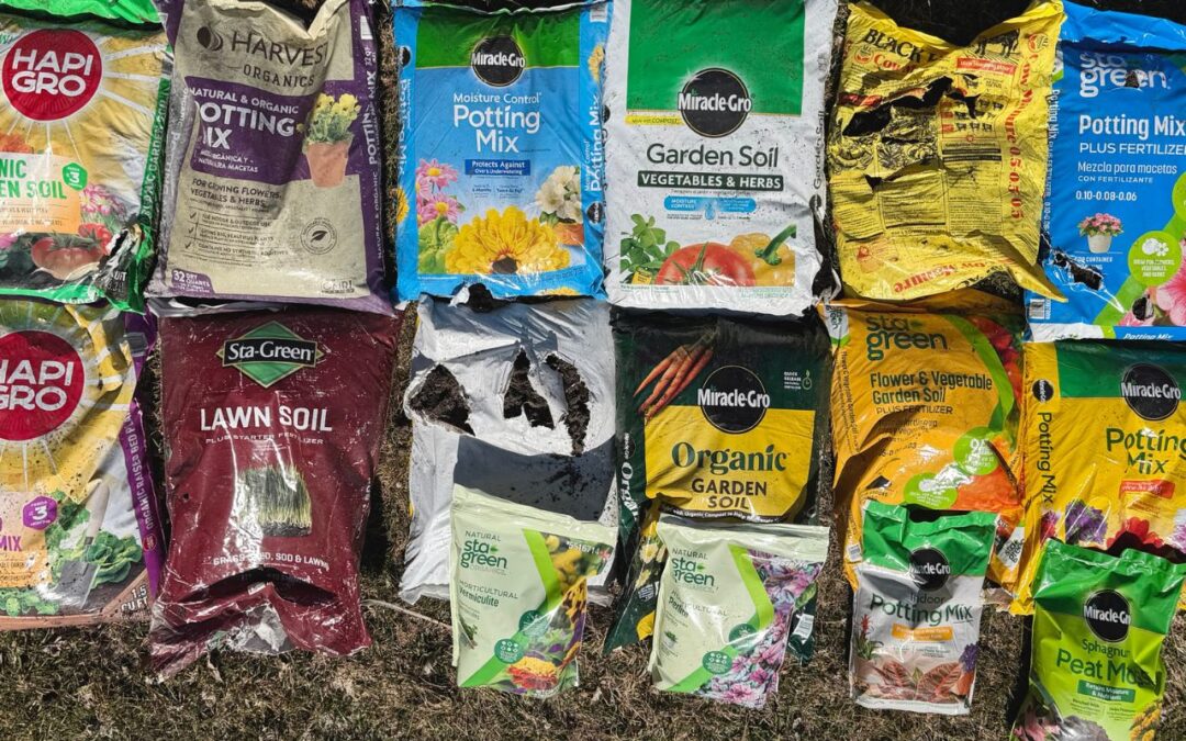 Garden Soil vs Potting Mix: Which Should I Use?