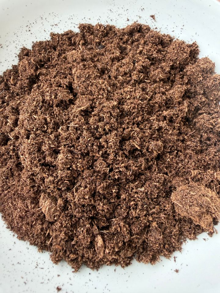 Closeup of fluffy light brown peat moss in a dish.