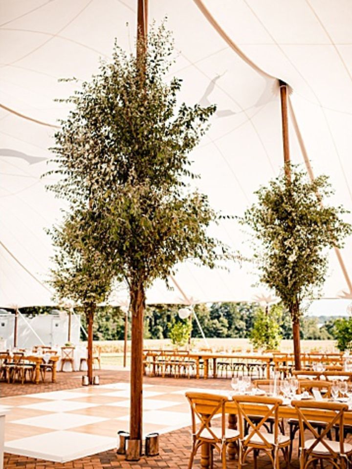 False tree installations are inside a sailcloth wedding reception tent, made of shrubbery branches wrapped to the tent poles.