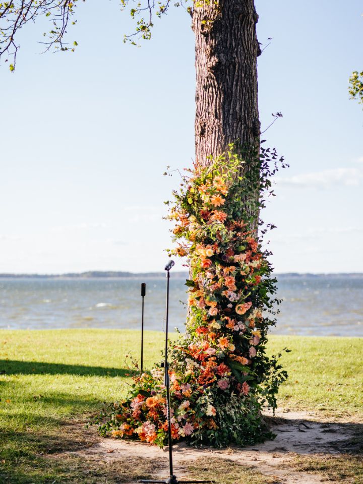 Queenstown Harbor Wedding with ceremony under tree at waterfront, with flower installation.