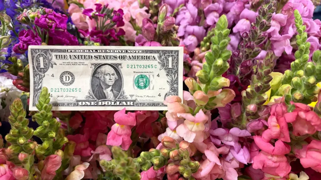 A dollar bill surrounded by florals by Wildly Native Flower Farm