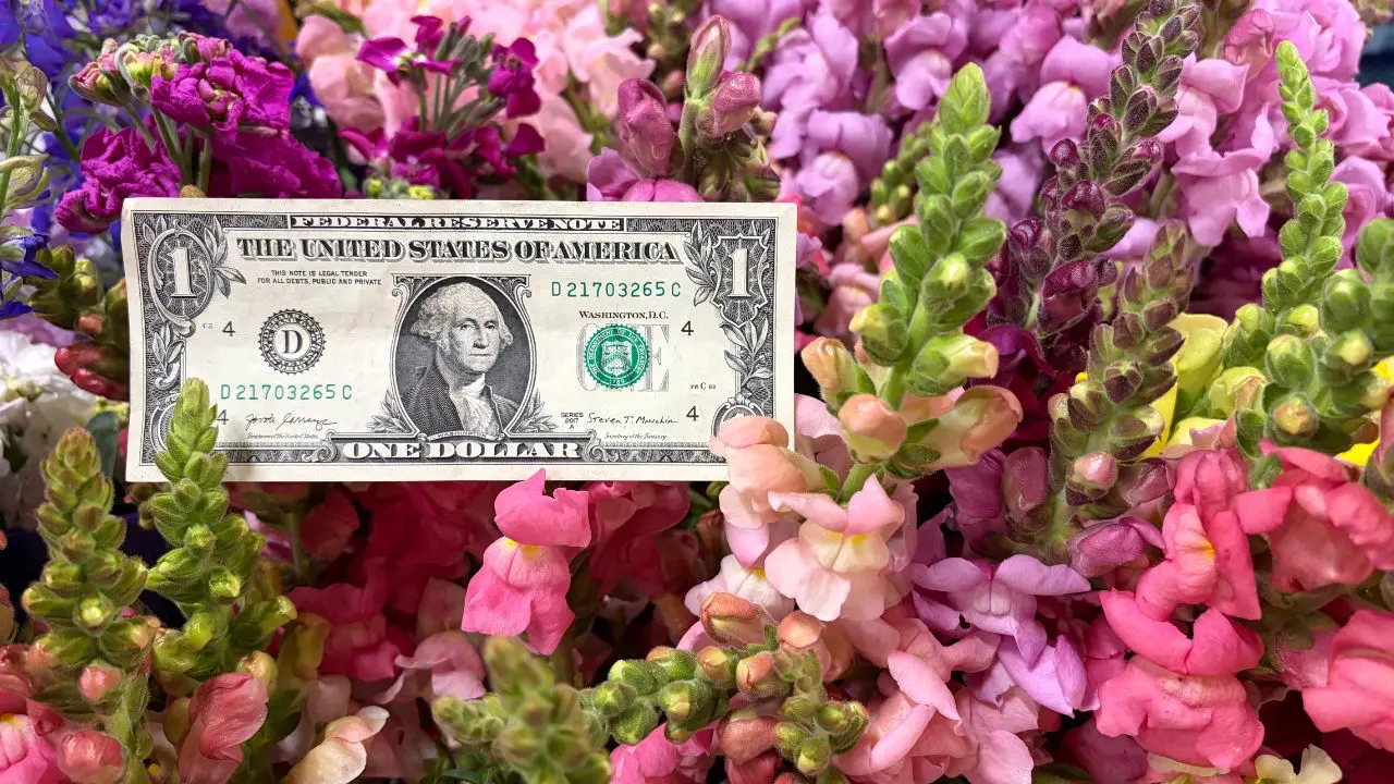 A dollar bill surrounded by florals by Wildly Native Flower Farm