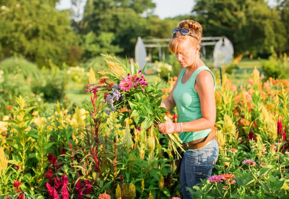 How to Start Growing Cut Flowers, Even If You’re Starting Small