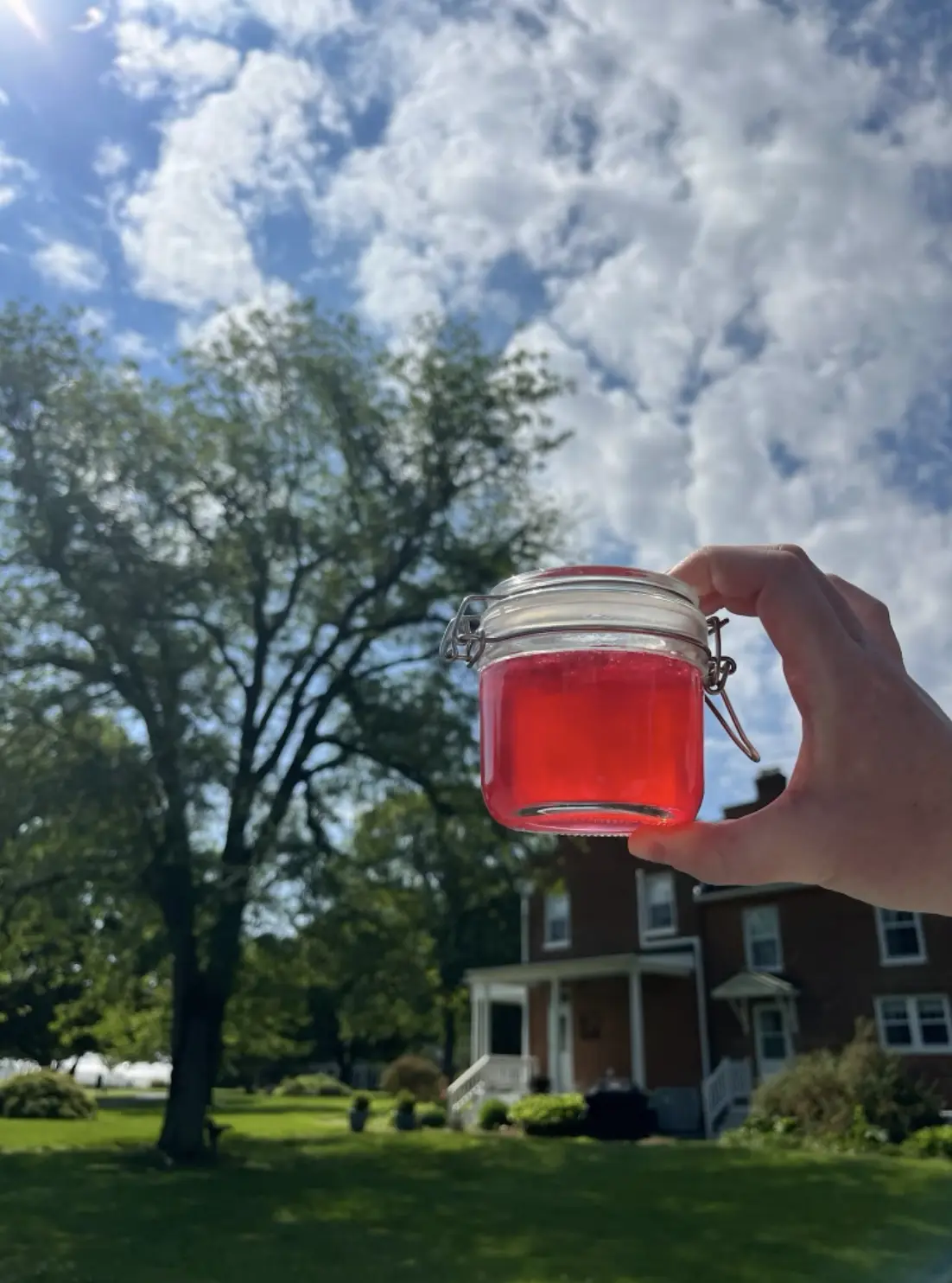peony jelly in a jar