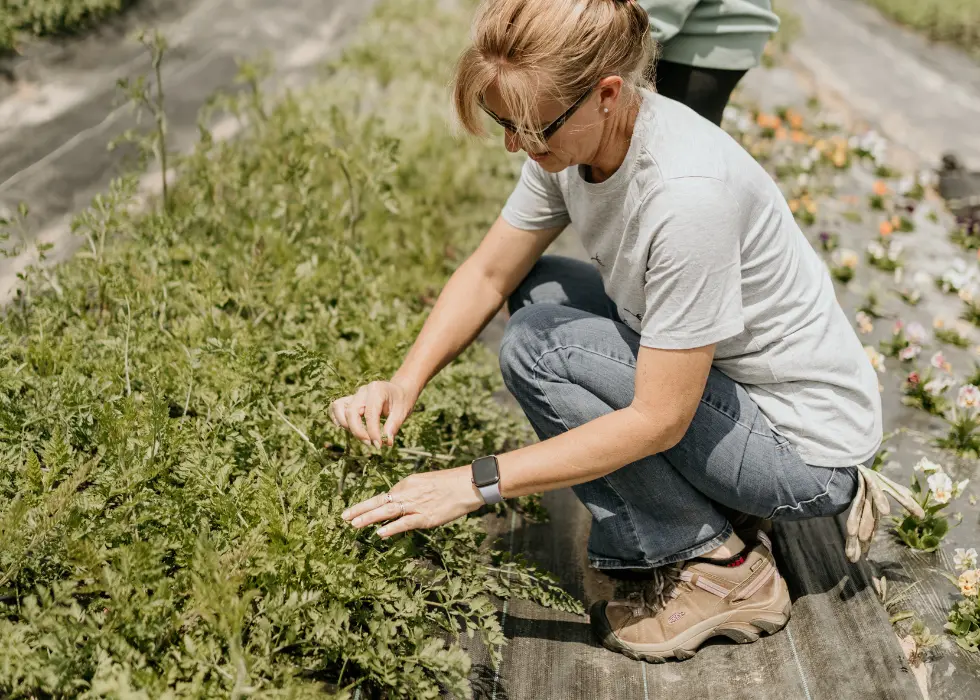 Liza reviewing plants in the field