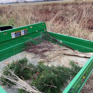 Foraged Wreath collecting in gator.