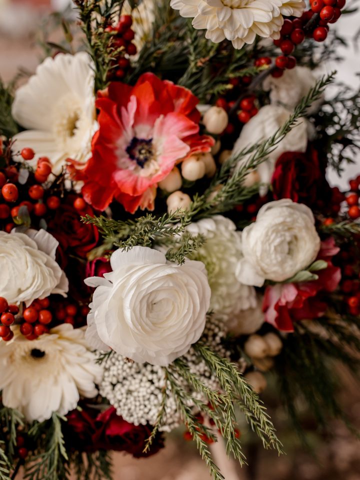 Closeup of red and white flowers with evergreens.