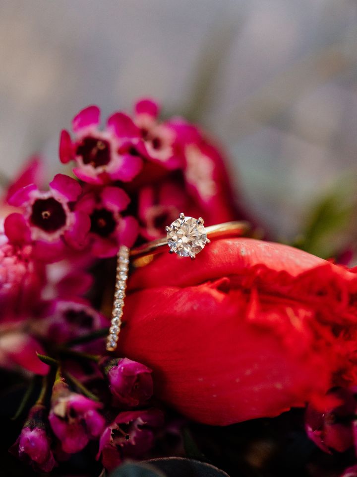 Closeup of waxflower and tulip with engagement ring.