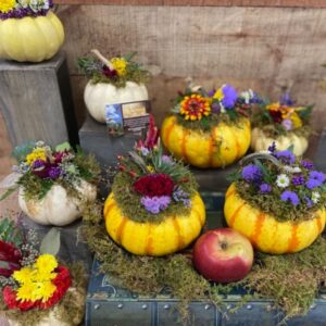 DIY Dried Flower Pumpkins! 10/7