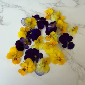 Viola heads