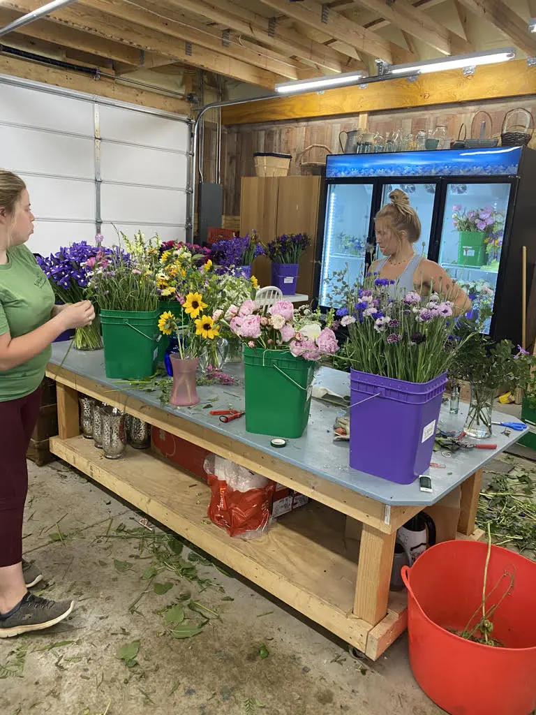 added-glass-front-cooler Front glass cooler was installed in the barn at Wildly Native Flower Farm in 2021