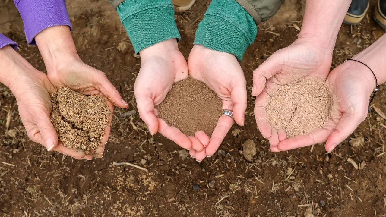 Hands holding different types of soil