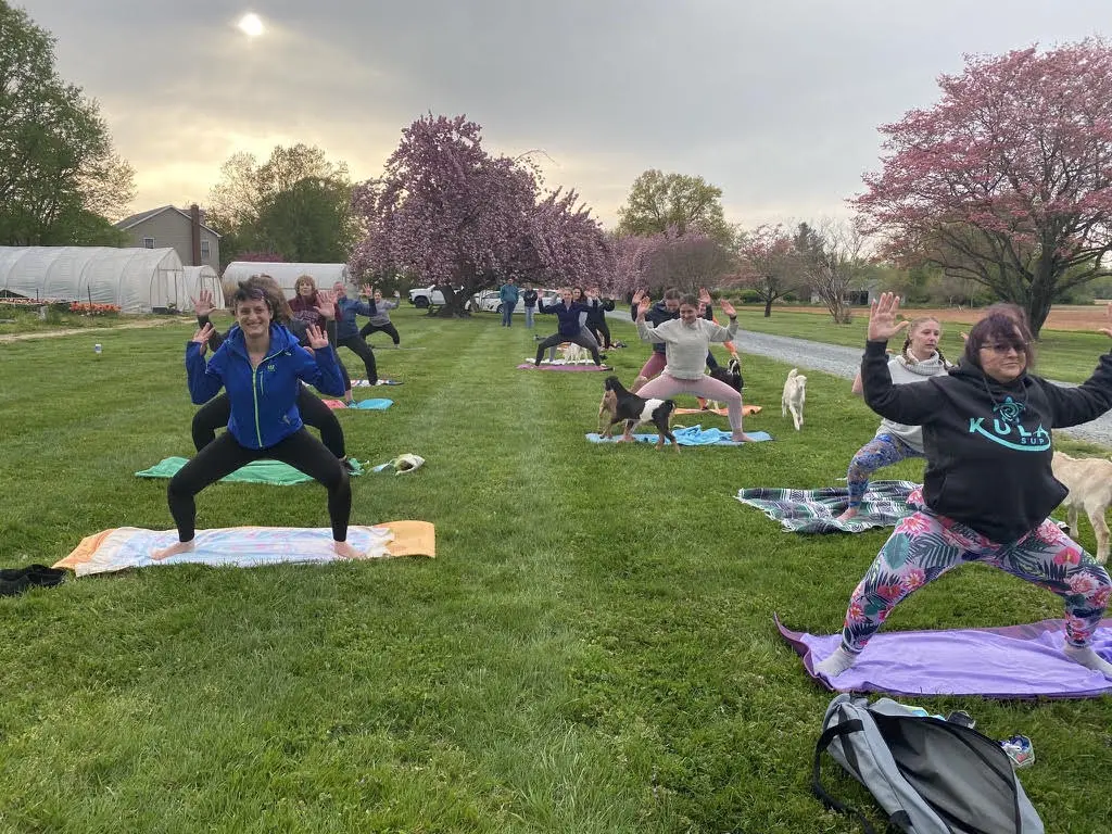 goat-yoga-2021-2 Goat yoga at the farm in 2021