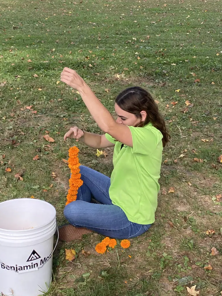 specialty-garland Creating a specialty garland in 2021