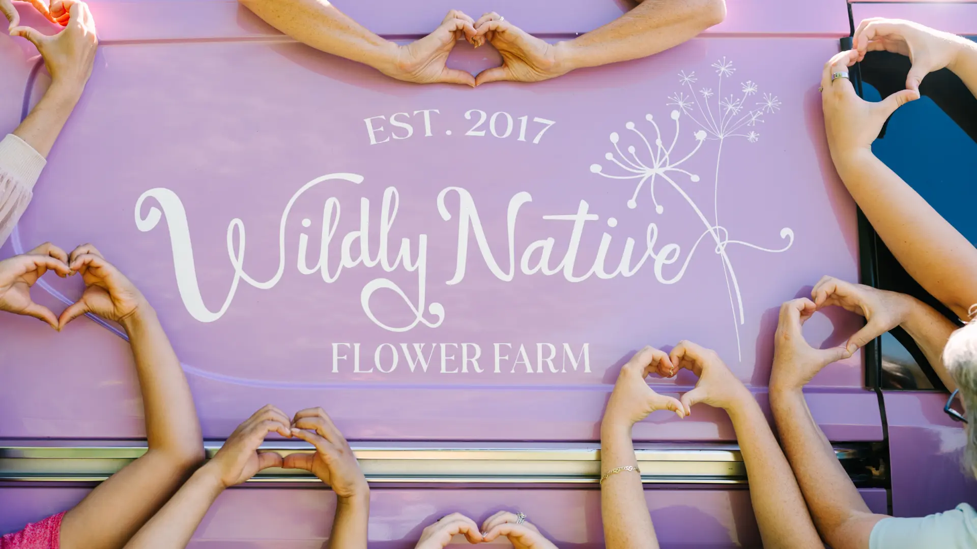 Hands Creating Hearts on the Purple Van at Wildly Native Flower Farm