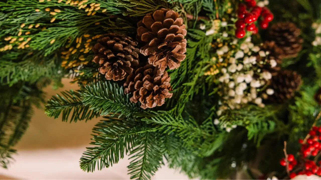 Up close image of a pinecone and a winter green